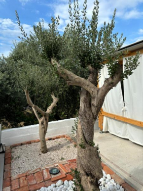 Apartman Irena 2